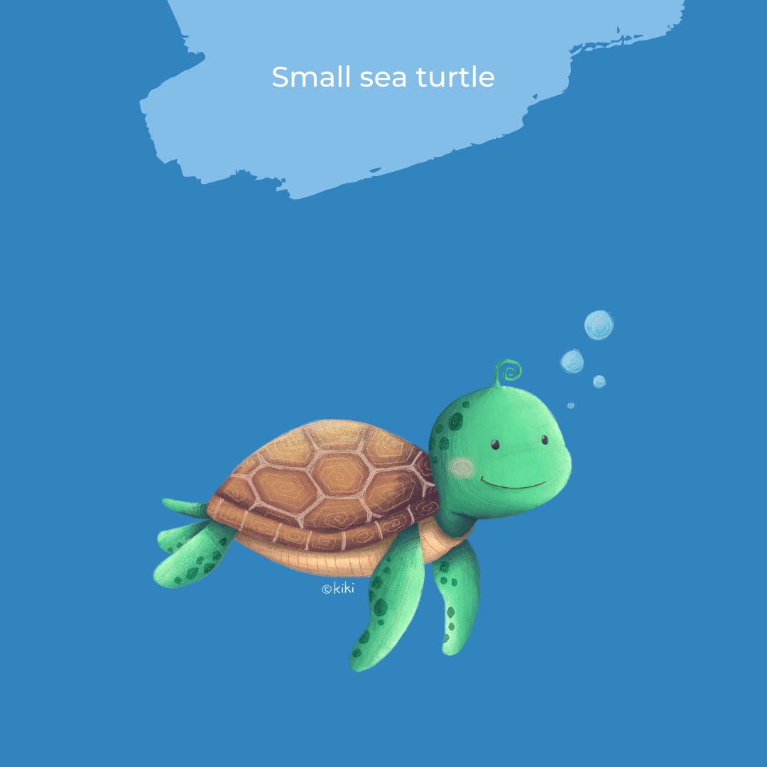 Designer of the Month May 2021